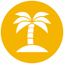 palmera icon