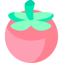 tomate icon