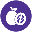 guayaba icon