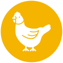 pollo icon