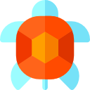 tortuga icon