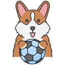 corgi icon