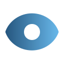 ojo icon