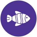 pescado icon