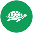 tortuga