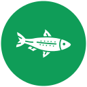 sardina icon