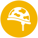 casco icon