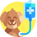 intravenoso icon