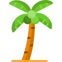 Árbol de coco icon