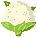 coliflor icon