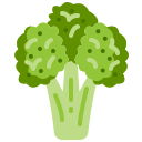 brócoli icon