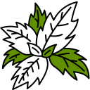 albahaca icon