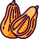 calabaza icon