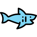 requin