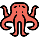 Octopus 
