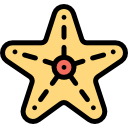 estrella de mar