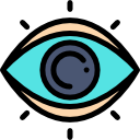 ojo icon