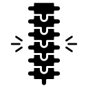 Columna vertebral 