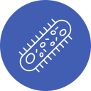bacterias icon