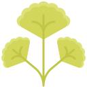 gingko icon