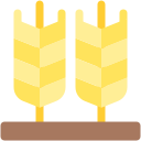 trigo icon