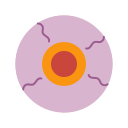 ojo icon