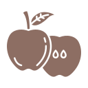 manzana icon