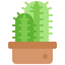 cactus icon