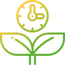 planta em crescimento 