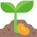 planta de semillero icon