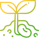 planta de semillero icon