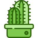 cactus icon