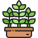 planta en maceta icon