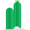 cactus icon