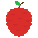 lychee icon