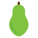 papaya icon