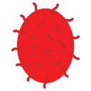 rambután icon