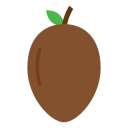 Sapodilla icon