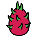 dragon de fruta icon