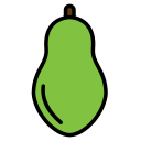 papaya icon