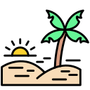 palmera