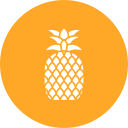 piña icon