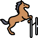 caballo 