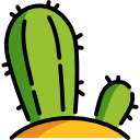 cactus icon