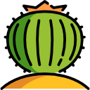 cactus icon