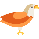 Águila