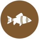 pescado icon