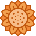 girasol