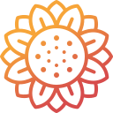 girasol icon