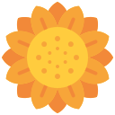 girasol